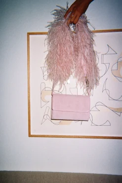 Lijadu Bird Bag In Candy Floss Suede